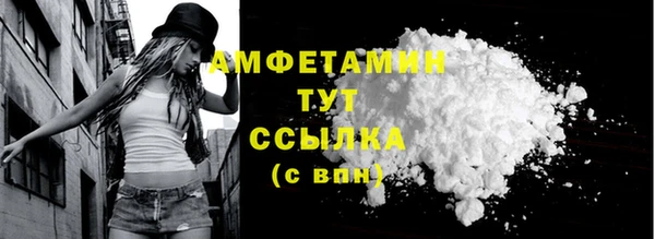 эйфоретик Вяземский